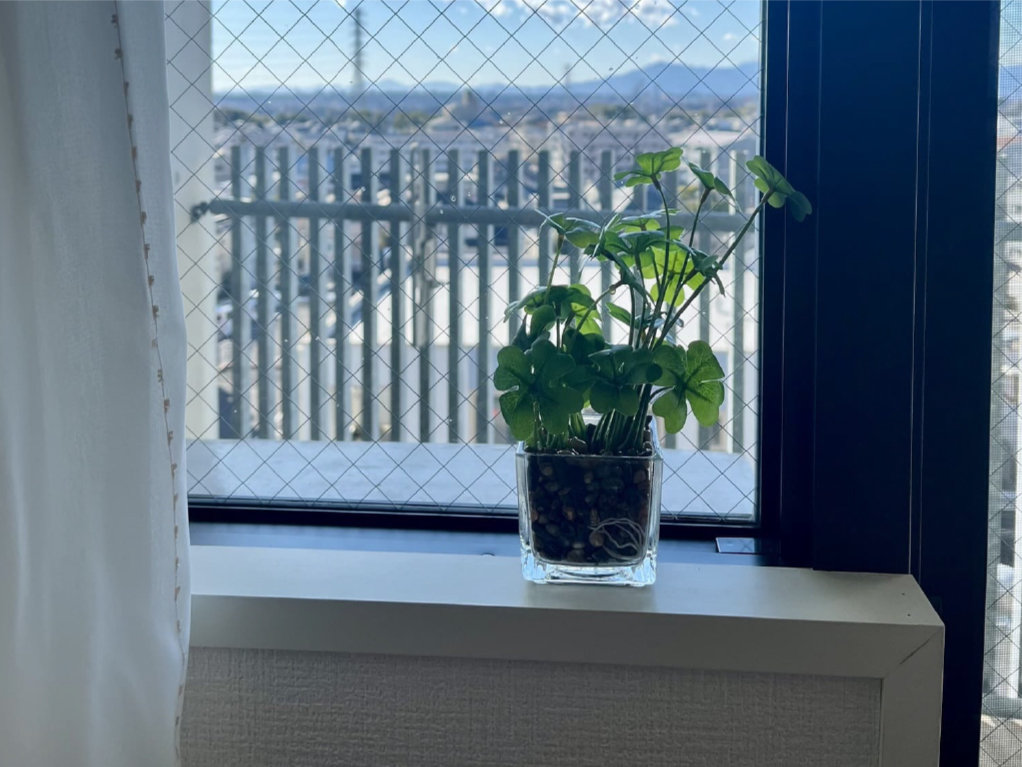 院の窓から見える景色